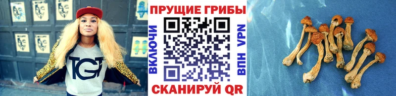Псилоцибиновые грибы ЛСД Горбатов
