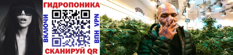 OMG вход Горбатов Бошки марихуана THC 21%